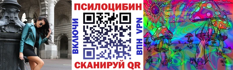 Псилоцибиновые грибы Cubensis  продажа наркотиков  Майкоп 