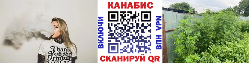 МАРИХУАНА конопля  купить наркотики сайты  Майкоп 